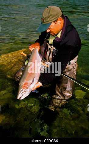 Mann hält Steelhead Forelle Stockfoto