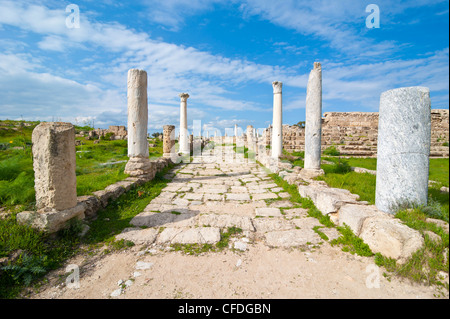 Römische Ruinen von Salamis, türkischen Teil von Zypern, Zypern, Europa Stockfoto