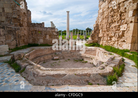 Römische Ruinen von Salamis, türkischen Teil von Zypern, Zypern, Europa Stockfoto