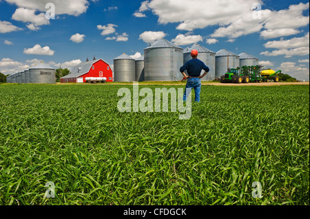 ein Mann blickt auf eine Farm mit Durum-Weizen-Feld in den Vordergrund, in der Nähe von Torquay Saskatchewan, Kanada Stockfoto