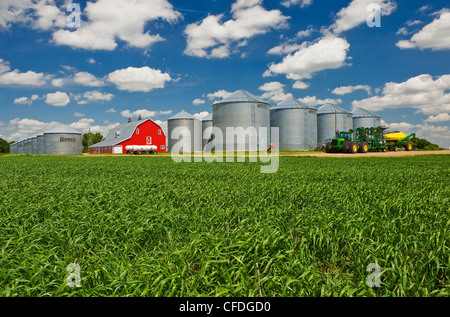 Bauernhof mit Durum-Weizen-Feld in den Vordergrund, in der Nähe von Torquay Saskatchewan, Kanada Stockfoto