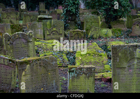 Jüdischer Friedhof Battonnstrasse, es ist der älteste jüdische Friedhof in Frankfurt am Main, Frankfurt am Main, Hessen, Deutschland, Europa Stockfoto