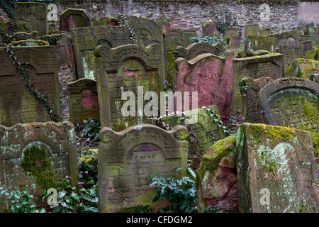 Jüdischer Friedhof Battonnstrasse, es ist der älteste jüdische Friedhof in Frankfurt am Main, Frankfurt am Main, Hessen, Deutschland, Europa Stockfoto