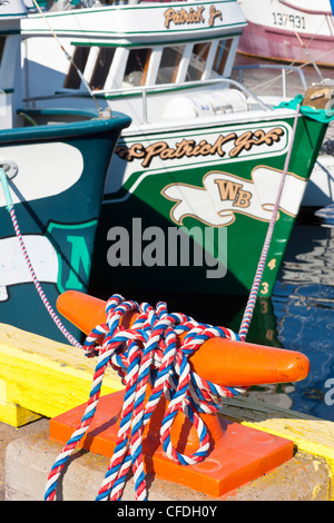 Angelboot/Fischerboot auf Southside von St. John's Harbour, Neufundland, Kanada Stockfoto