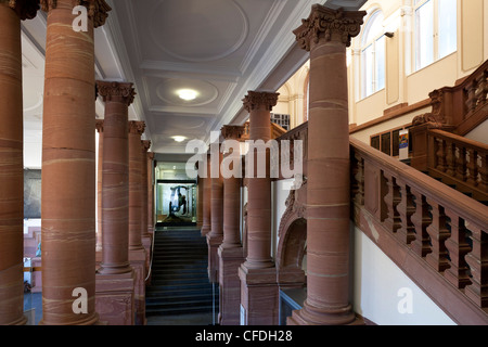 Senckenberg-Museum, Treppenhaus und Gorilla im Hintergrund, Frankfurt Am Main, Hessen, Deutschland, Europa Stockfoto