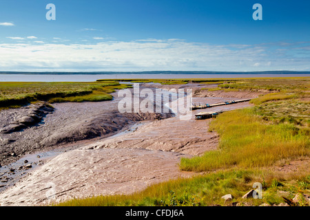 Wharf bei Ebbe, Holz-Punkt, Bay Of Fundy, New Brunswick, Kanada Stockfoto