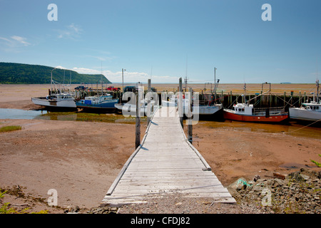 Angelboote/Fischerboote bei Ebbe, Advocate Harbour Bay Of Fundy, Nova Scotia, Kanada Stockfoto