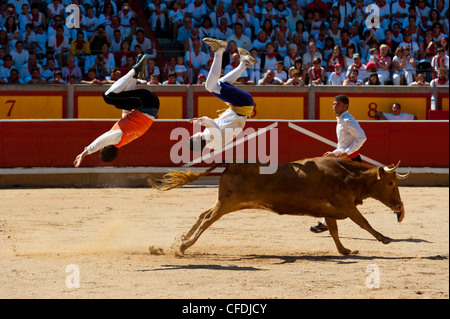 Festival de recortadoresentgegen (Trimmer Festival), San Fermin Festival, Pamplona, Navarra (Navarra), Spanien, Europa Stockfoto