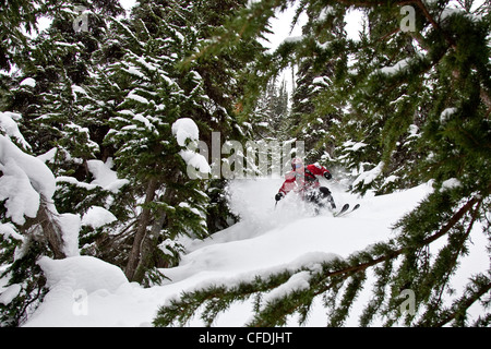 Junger Mann Skifahren im Hinterland am Rogers Pass, British Columbia, Kanada. Stockfoto
