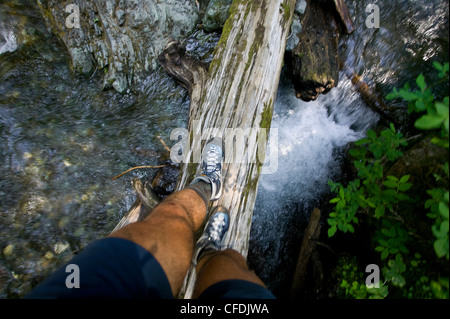 Über schmale Log-Brücke in Richtung wandern Fuß Stockfoto