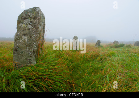 Merry Maidens Stein Kreis, Cornwall, England, Vereinigtes Königreich, Europa Stockfoto