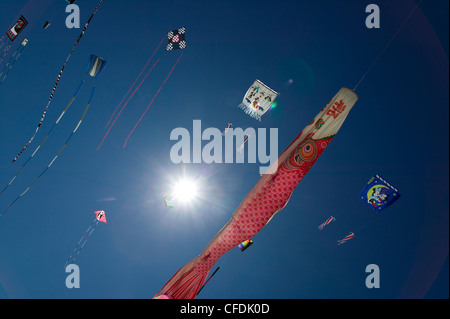 Unendlich viele Sorten Drachen heben Wind International Stockfoto