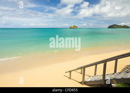 Die Lagune mit der Welt am südlichsten Coral reef, Tasmansee, Lord-Howe-Insel, New-South.Wales, Australien Stockfoto