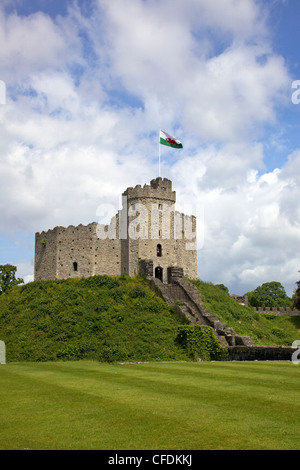 Nationale Flagge von Wales fliegen, Norman Keep, Schloss von Cardiff, Cardiff, South Glamorgan, South Wales, Wales, UK Stockfoto