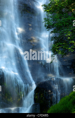 Pistyll Rhaeadr-Wasserfall in der Nähe von Llanrhaeadr Ym Mochnant, frühen Morgenlicht im Juni, Powys, Wales, Vereinigtes Königreich, Europa Stockfoto