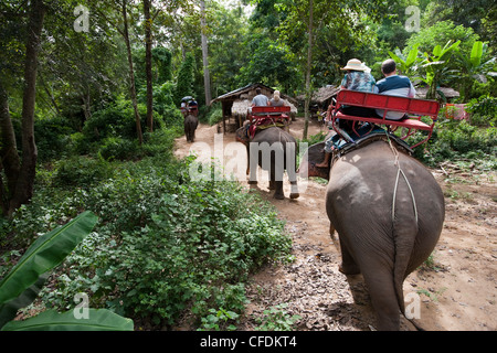 Touristen fahren Elefanten im Sai Yok Elephant Village, in der Nähe von Kanchanaburi, Thailand Stockfoto