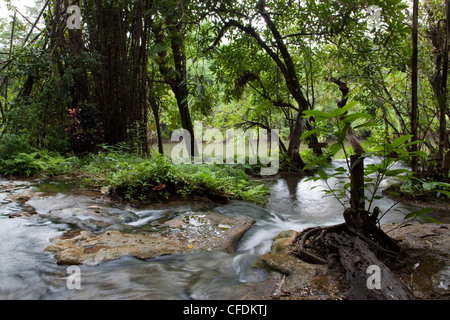Stream in Sai Yok Nationalpark in der Nähe von River Kwai Noi, in der Nähe von Kanchanaburi, Thailand Stockfoto