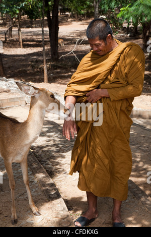 Hirsch leckt Hand der Mönch an Pha Luang Ta Bua (Tempel der Tiger), in der Nähe von Kanchanaburi, Thailand Stockfoto