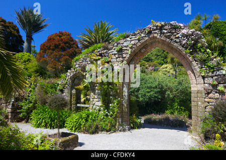 Alten steinernen Torbogen aus dem zerstörten Kloster in den subtropischen Abbey Gardens, Insel Tresco Isles of Scilly, England, UK Stockfoto