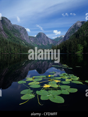 Ellerslie Lake, Great Bear Rainforest, in der Nähe von Bella Bella, Midcoast von British Columbia, Kanada Stockfoto