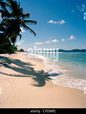 Schatten der Palmen am Strand Anse Fourmis, östlichen La Digue, Seychellen, Indischer Ozean Stockfoto