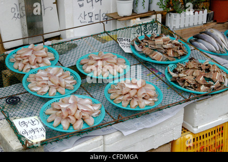 Gukje Fischmarkt in Busan, Südkorea. Stockfoto