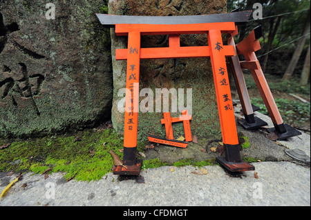 kleinen roten Torii-Tore am Fushimi Inari Schrein, Kyoto, Japan Stockfoto