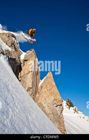 Ein männlicher Skifahrer fällt von einer Klippe im Hinterland der Kicking Horse Resort, Golden, British Columbia, Kanada Stockfoto