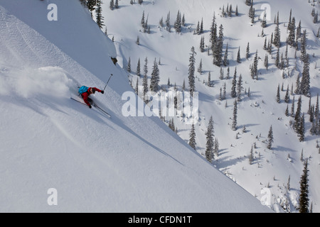 Ein männlicher Skifahrer verdient seine Kurven und Skier Frischpulver während Skitouren in Sol Mountain Lodge, Monashee, British Columbia, Kanada Stockfoto