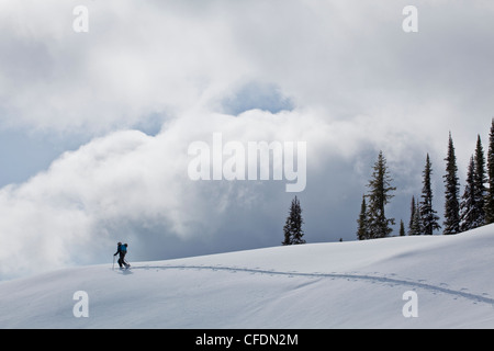 Ein Mann-Skitouren in Sol Mountain Lodge, Monashee, in der Nähe von Revelstoke, Britisch-Kolumbien, Kanada Stockfoto