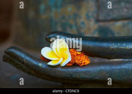 Frangipani Blume auf der Seite der Buddha-Statue, Haw Pha Kaeo, Vientiane, Laos, Indochina, Südostasien, Asien Stockfoto