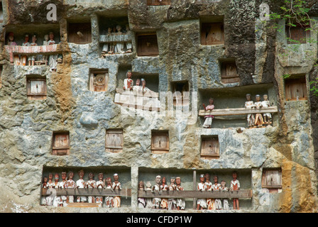 Bildnisse der Toten in Klippen, Toraja Friedhof, Lemo, Tana Toraja, Toraja, Sulawesi, Celebes, Indonesien, Südostasien, Asien Stockfoto