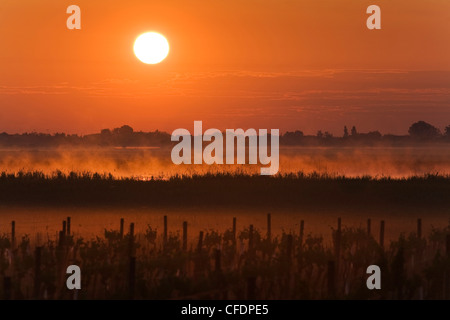 Neusiedler See bei Sonnenaufgang, Fertoe Nationalpark, Burgenland, Austria, Europe Stockfoto