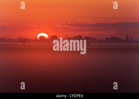 Neusiedler See bei Sonnenaufgang, Fertoe Nationalpark, Burgenland, Austria, Europe Stockfoto