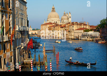 Die Kirche Santa Maria della Salute und der Canal Grande, gesehen von der Academia Brücke, Venedig, Veneto, Italien Stockfoto