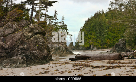Bradys Strand an der südwestlichen Küste von Vancouver Island, British Columbia, Kanada Stockfoto