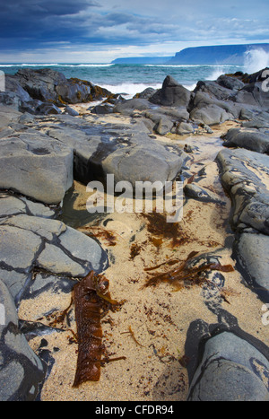 Küstenlandschaft bei Selardalur, Westfjorde, Vestfirðir, Island, Polarregionen Stockfoto