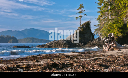 Bradys Strand an der südwestlichen Küste von Vancouver Island, British Columbia, Kanada Stockfoto
