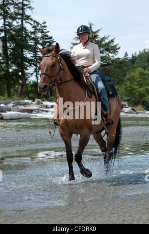 Frauen, die Reitpferde für Erholung am Strand von Merville, Vancouver Island, British Columbia, Kanada Stockfoto