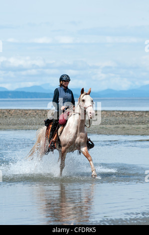 Frauen, die Reitpferde für Erholung am Strand von Merville, Vancouver Island, British Columbia, Kanada Stockfoto