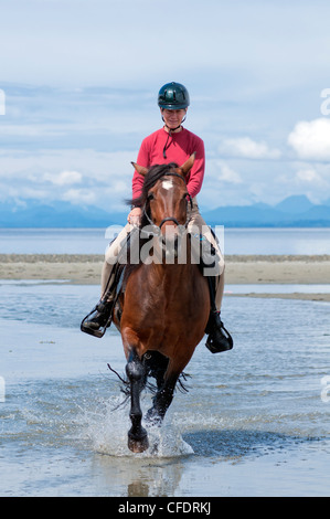 Frauen, die Reitpferde für Erholung am Strand von Merville, Vancouver Island, British Columbia, Kanada Stockfoto