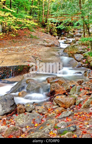 Swift River, Flume, White Mountains, New Hampshire, Vereinigte Staaten von Amerika Stockfoto