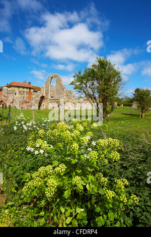 Ein Blick auf Leiston Abbey, Suffolk, England, Vereinigtes Königreich, Europa Stockfoto