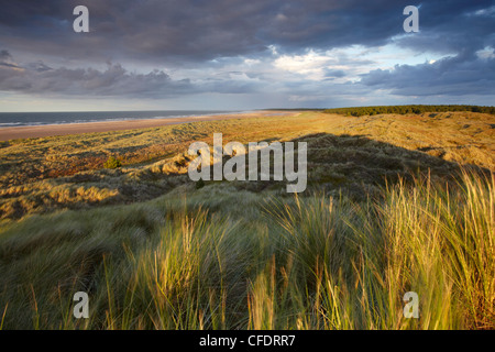 Dramatische letzte Licht auf den Dünen mit Blick auf Holkham Bay, Norfolk, England, Vereinigtes Königreich, Europa Stockfoto