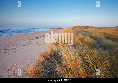 Einen sonnigen Frühlingsabend in Holkham Bay auf der North Norfolk Küste, Norfolk, England, Vereinigtes Königreich, Europa Stockfoto