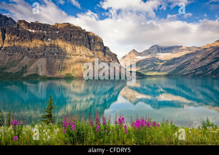 Gebirge Spiegelung am Bow Lake bei Sonnenaufgang in Banff Nationalpark, Alberta, Kanada Stockfoto