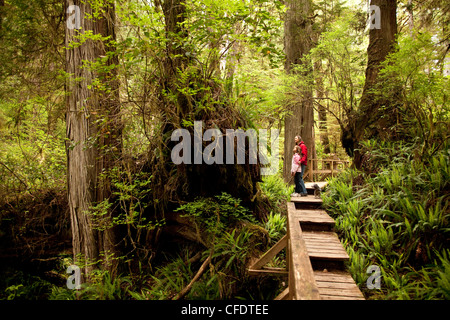 Mutter und Tochter Besuche Rainforst Trail, Pacific Rim National Park, in der Nähe von Tofino, BC, Kanada. Stockfoto