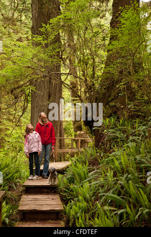 Mutter und Tochter Besuche Rainforst Trail, Pacific Rim National Park, in der Nähe von Tofino, BC, Kanada. Stockfoto