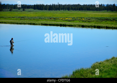 Henrys Fork, North Fork des Snake River, Idaho, Vereinigte Staaten von Amerika Stockfoto