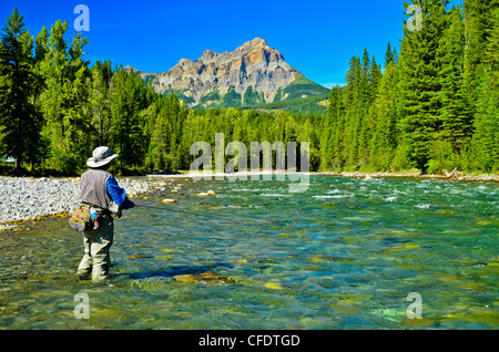 Fliegenfischen Sie auf den Stier River, British Columbia, Kanada Stockfoto